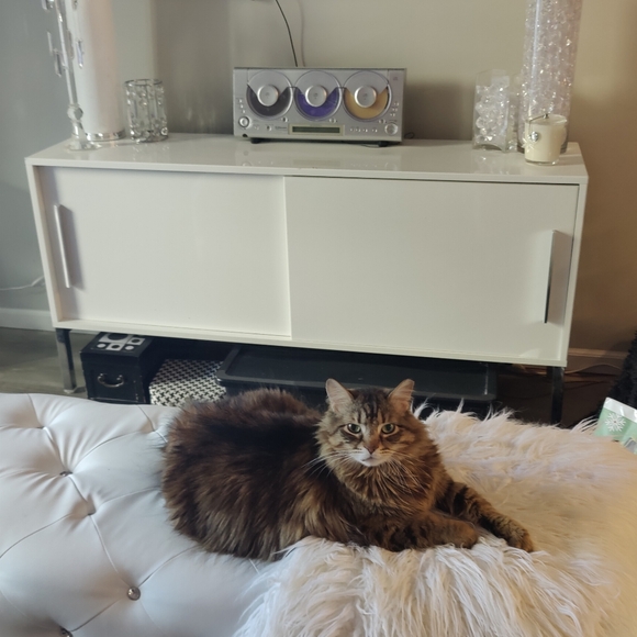 Dior Rouge Lipstick - 999 matte Vibrant Red - Picture 5 of 6